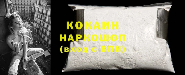 PSILOCYBIN Медвежьегорск