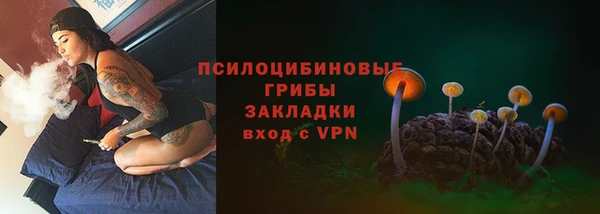 сатива Карталы