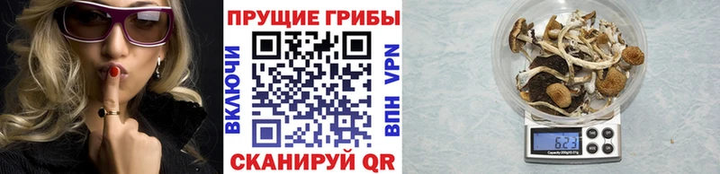 Псилоцибиновые грибы мухоморы  mega как зайти  Реутов  сколько стоит 