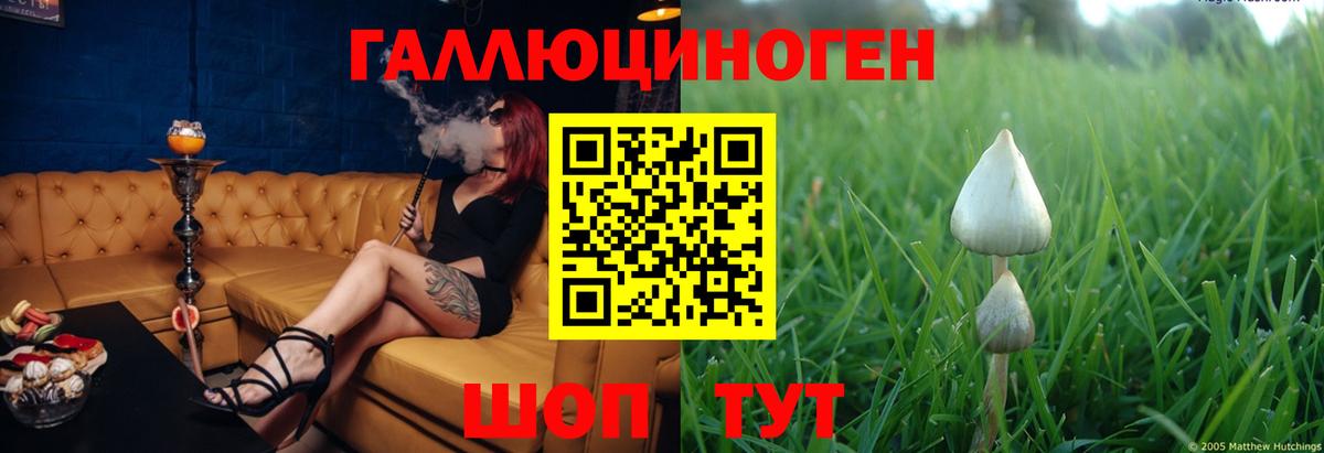 Галлюциногенные грибы Psilocybe  Реутов 