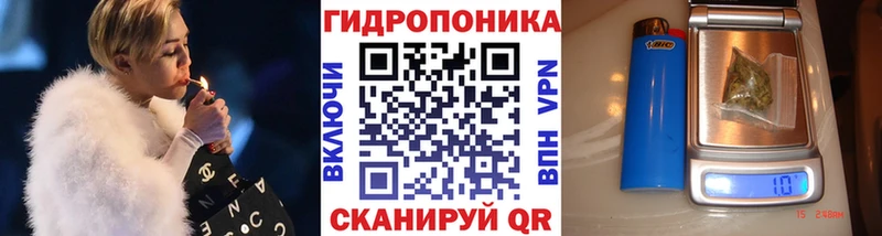 Бошки Шишки Amnesia  Реутов 